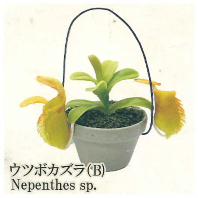 Giappone Arcobaleno Gashapon C - Capsule Toy Gashapon recensione e prezzo