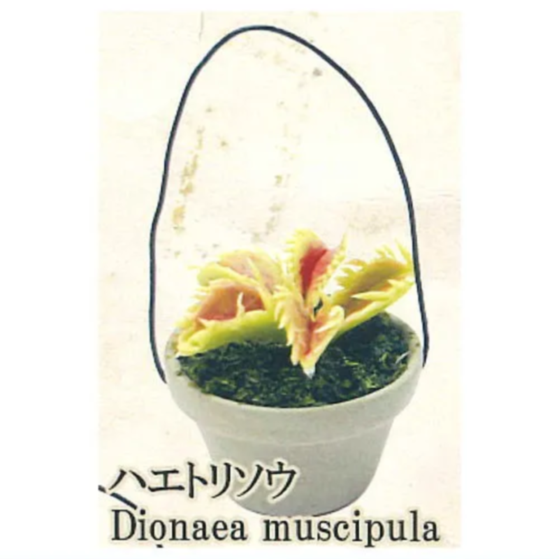 Giappone Arcobaleno Gashapon C - Capsule Toy Gashapon recensione e prezzo